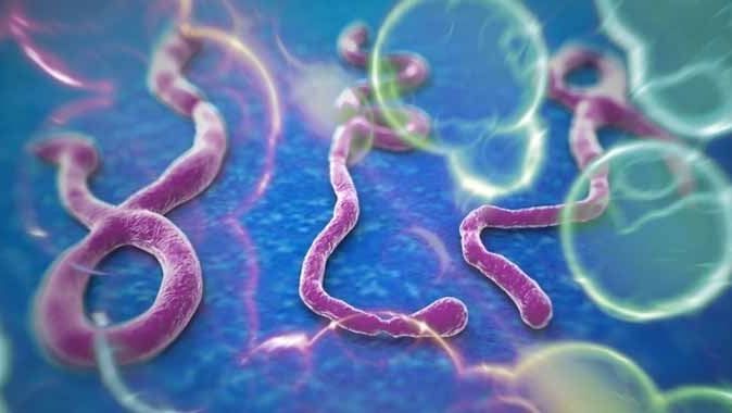 Hastane Ebola şüphesiyle karantinaya alındı 