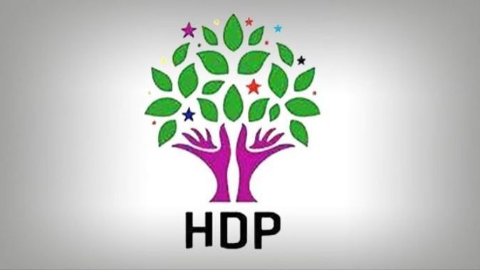 HDP il başkanı gözaltına alındı