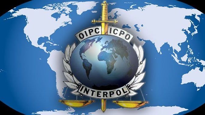 Interpol doğa düşmanlarına savaş açtı