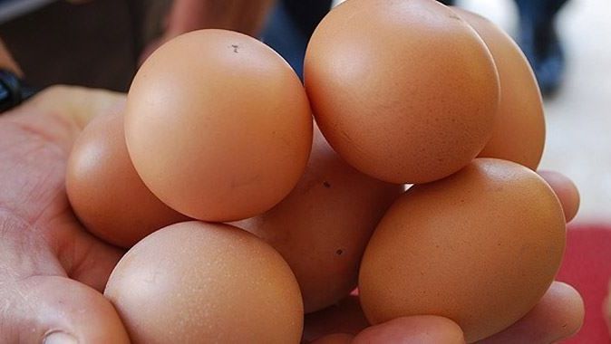 Yumurta üretimi 15 milyarı aştı