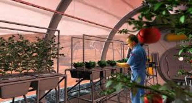 Uzayda sebze yetiştirecekler