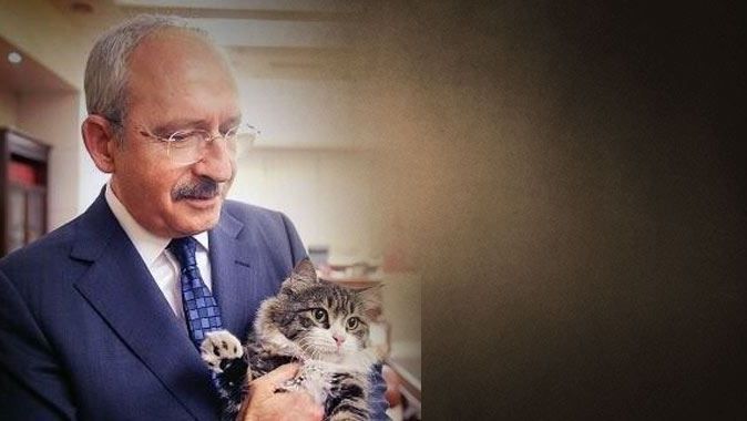 Kemal Kılıçdaroğlu, &#039;Dünya Kediler Günü&#039;nü bu fotoğrafla kutladı