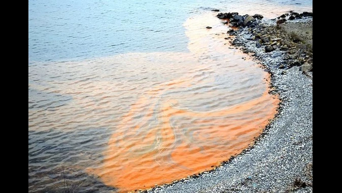 Karadeniz sahillerinde görülen kızıl tabaka yayılıyor