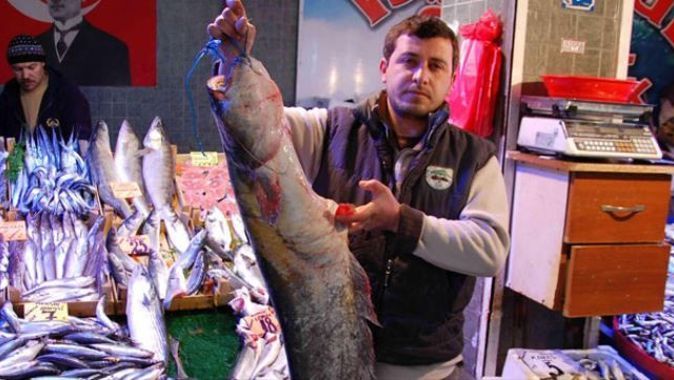 12 kiloluk yayın balığı yakaladı