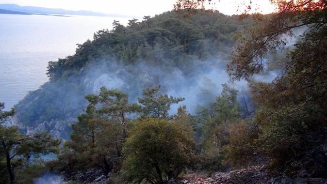 Muğla&#039;da korkutan orman yangını 