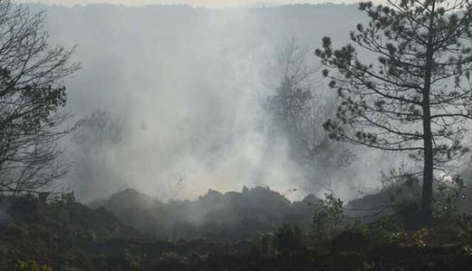 Şile&#039;de orman yangını