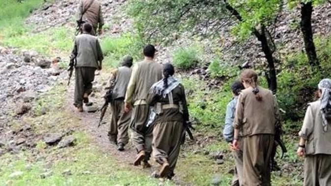 Hakkari&#039;de 3 PKK&#039;lı teslim oldu
