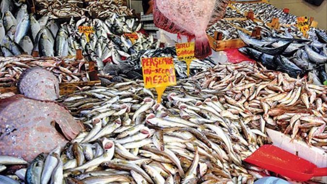 Karadeniz bereketlendi, balık fiyatları düştü