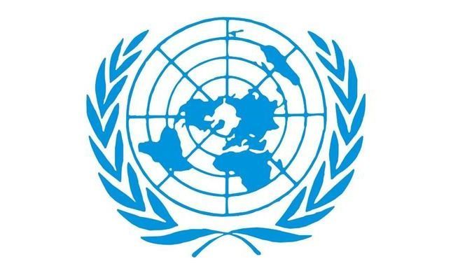 Kaçırılan BM müfettişleri serbest