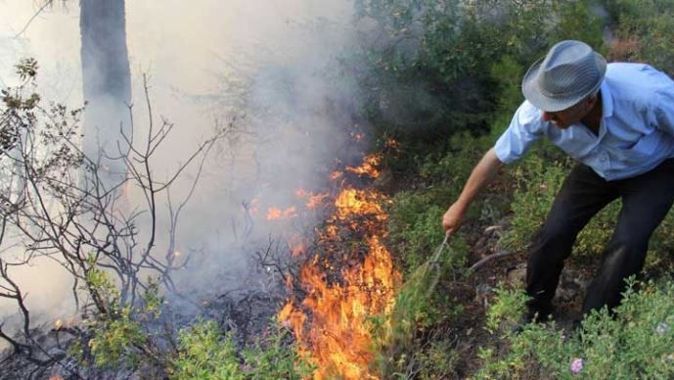 Samsun&#039;da orman yangını 3 gündür söndürülemiyor