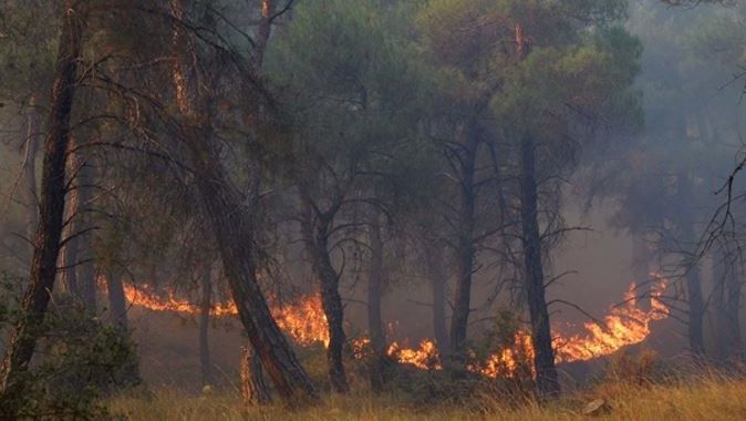 Antalya&#039;da orman yangını!