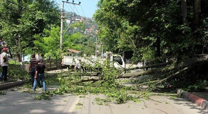 Ankara&#039;da karayola devrilen ağaç yolu ulaşıma kapattı