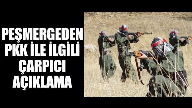 Peşmergeden çarpıcı açıklama: PKK sadece kendisini savunabildi