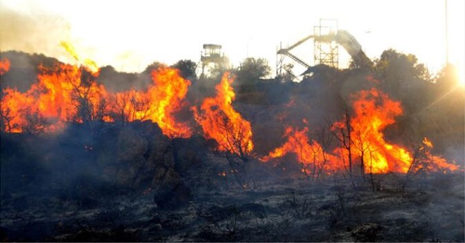 Bodrum&#039;da makilik alanda yangın