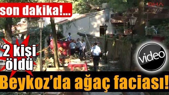Beykoz&#039;da ağaç devrildi! 2 kişi hayatını kaybetti