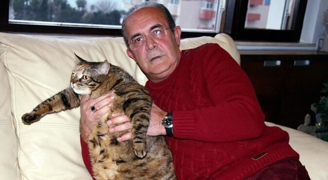 12,5 kiloluk kedi obez tedavisi görüyor