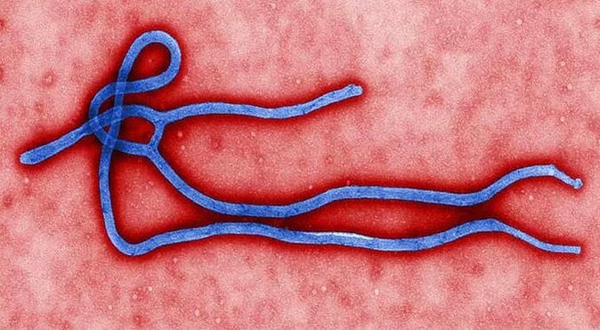 Ebola virüsü değişime uğruyor