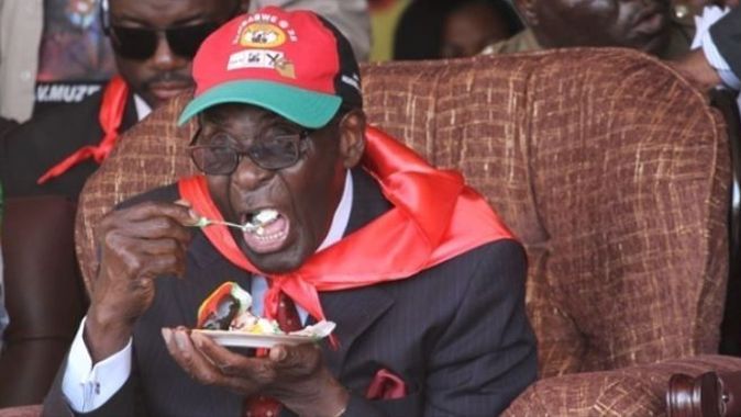 Düştü diye korumalarını kovan Mugabe, Aslan ve fil yiyecek
