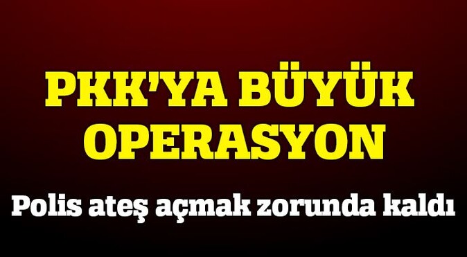 Diyarbakır&#039;da PKK&#039;ya büyük operasyon