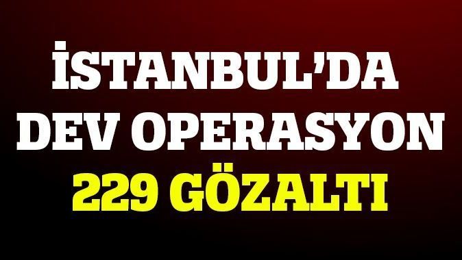 İstanbul&#039;da operasyon: 229 gözaltı