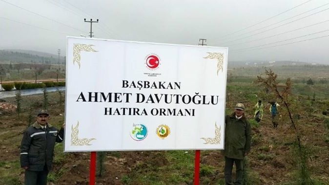 Davutoğlu&#039;na orman jesti!
