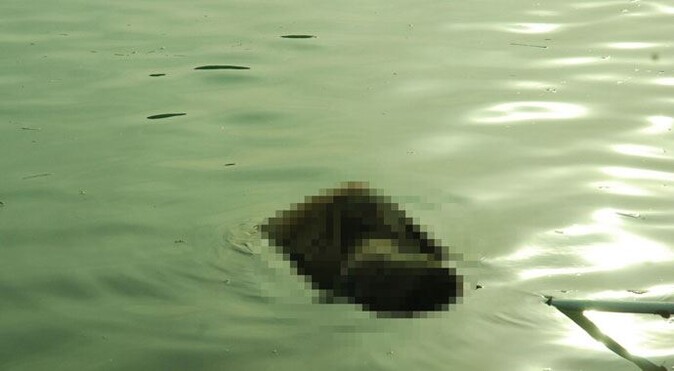Manavgat Irmağı&#039;nda ceset bulundu