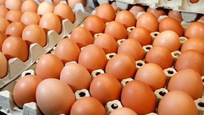 Yumurta yemek için mantıklı sebepler mi arıyorsunuz?