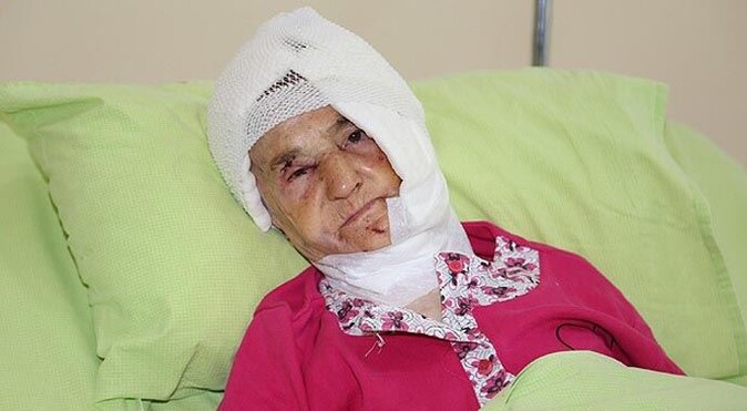 92 yaşındaki kadına ayı saldırdı