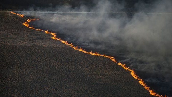 Ukrayna&#039;daki orman yangını kontrol altına alındı