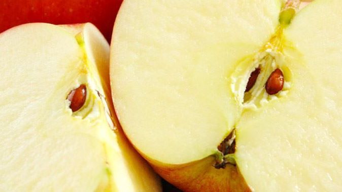 Elma çekirdeği zararlı mı?