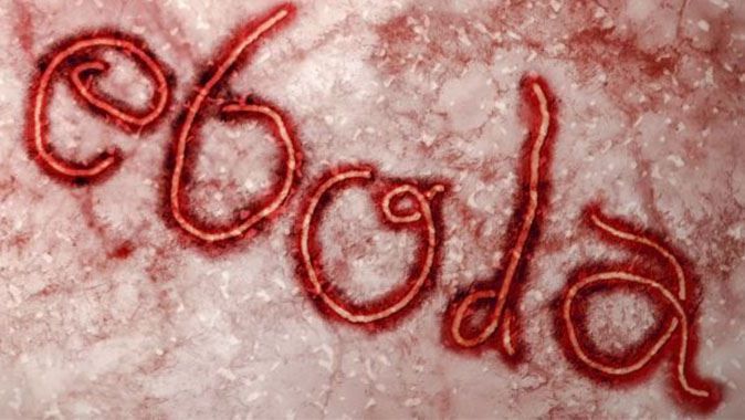 Ebola&#039;nın yayılmasını kolaylaştıran bir protein belirlendi