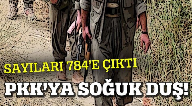 Şırnak&#039;ta teslim olan PKK&#039;lı sayısı 784&#039;e çıktı