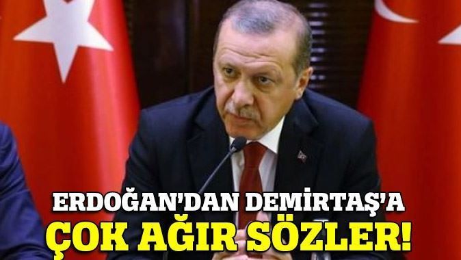 Erdoğan&#039;dan Demirtaş&#039;a çok ağır cevap