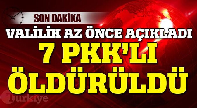 Ağrı Valiliği: 7 PKK&#039;lı etkisiz hale getirildi