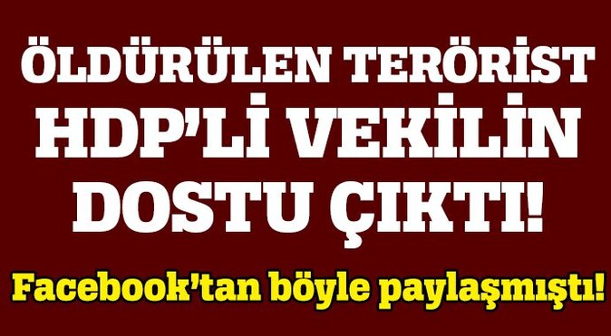 HDP&#039;li Osman Baydemir&#039;le öldürülen PKK&#039;lı yan yana