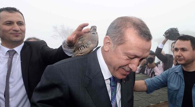 Cumhurbaşkanı Erdoğan&#039;ın başına keklik kondu