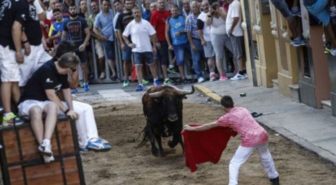 İspanya&#039;da boğalar 1,5 ayda 7 kişiyi öldürdü