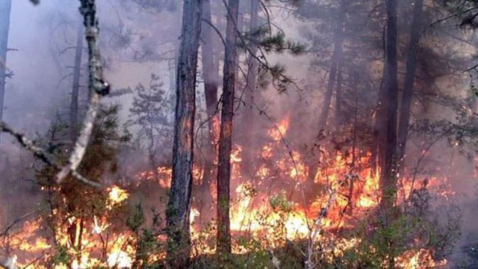 Karabük&#039;te büyük orman yangını!
