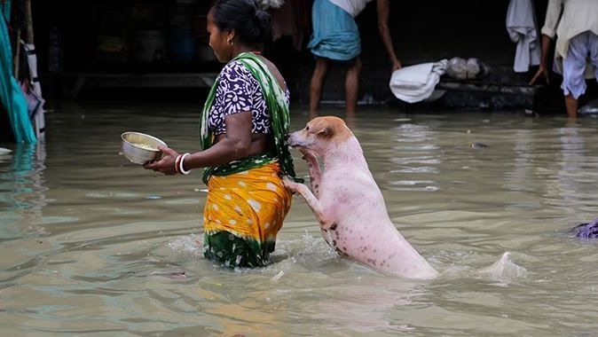 Hindistan&#039;daki sel ve heyelanlarda 103 kişi hayatını kaybetti
