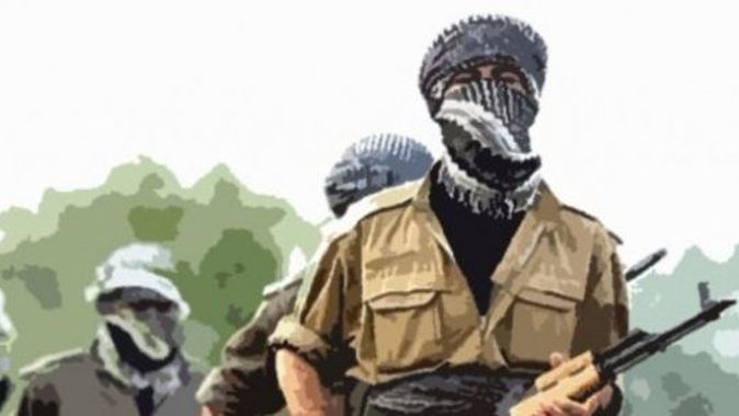 Şırnak&#039;ta 8 PKK&#039;lı terörist teslim oldu