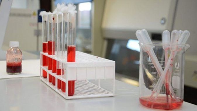 Türk bilim insanları yapay kan üretti