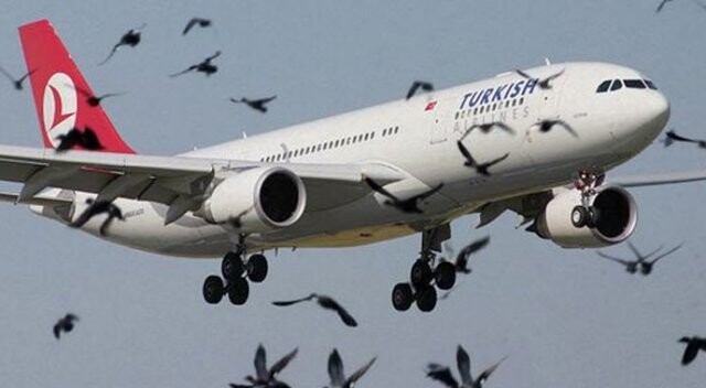 Atatürk Havalimanı&#039;nda kuş alarmı