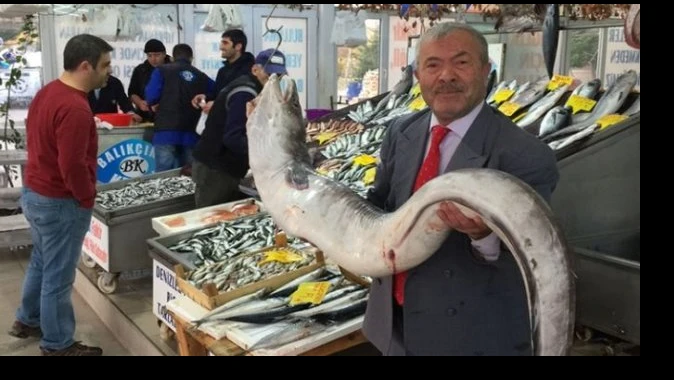 Bu balık Marmara’dan çıktı