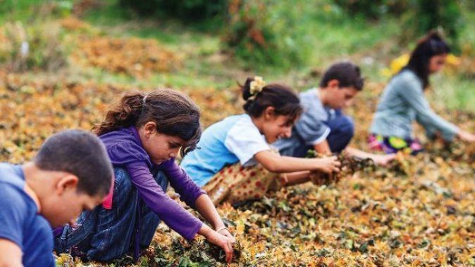 Tarım işçisi çocuklara mobil okul kurulacak