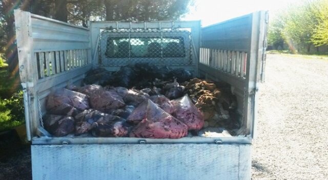 Diyarbakır&#039;da 1 ton hayvansal ürün ele geçirildi
