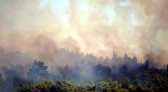 Muğla ve Aydın&#039;da orman yangını