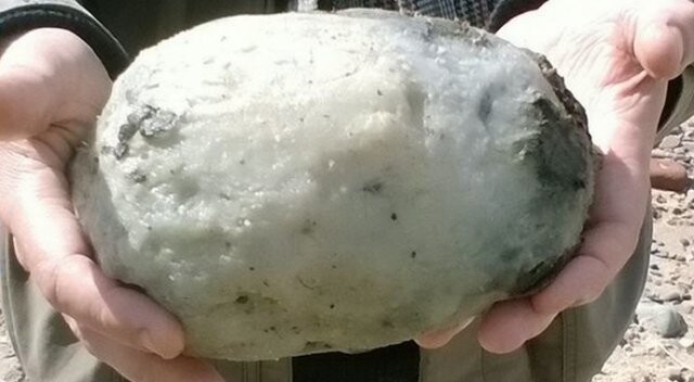 Sahilde buldukları taş 200 bin lira değerinde balina kusmuğu çıktı