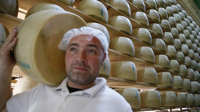 Avrupa&#039;nın ünlü peynirleri Antalya&#039;da üretiliyor