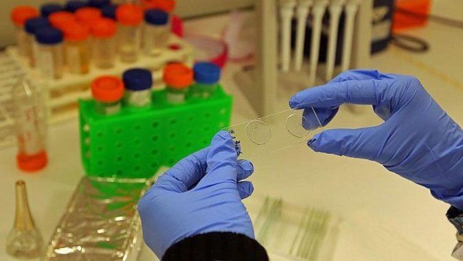 Bilim adamları Zika virüsünü klonladı