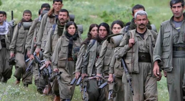 Darbe üstüne darbe yiyen PKK ses getirecek yeni eylem peşinde